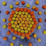 ⁦سوداني دلايتيس⁩ - الصورة ⁦2⁩
